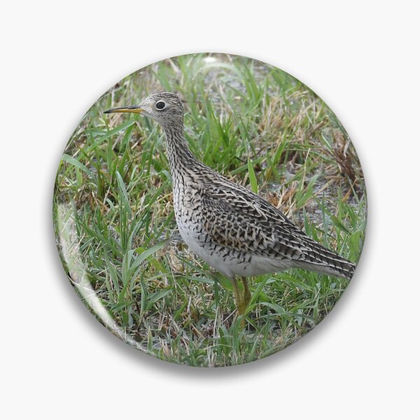 Item preview, Upland Sandpiper designed and sold by KateGood70.