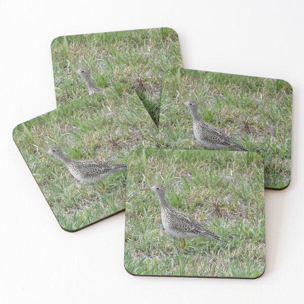Item preview, Upland Sandpiper designed and sold by KateGood70.