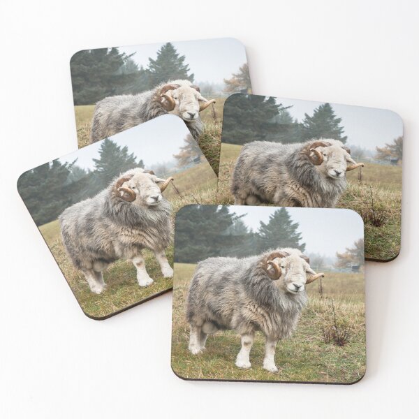 Item preview, Herdwick Ram designed and sold by Jane Stanley Photography.