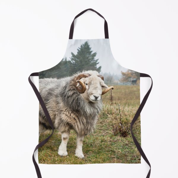 Item preview, Herdwick Ram designed and sold by Jane Stanley Photography.