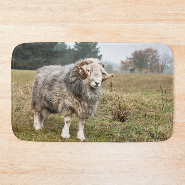 Item preview, Herdwick Ram designed and sold by Jane Stanley Photography.