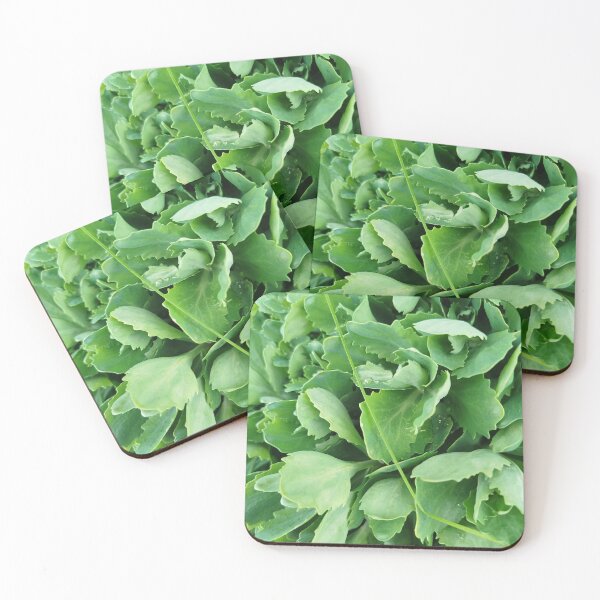 Item preview, Sedum acre style. designed and sold by Valgasnews011.