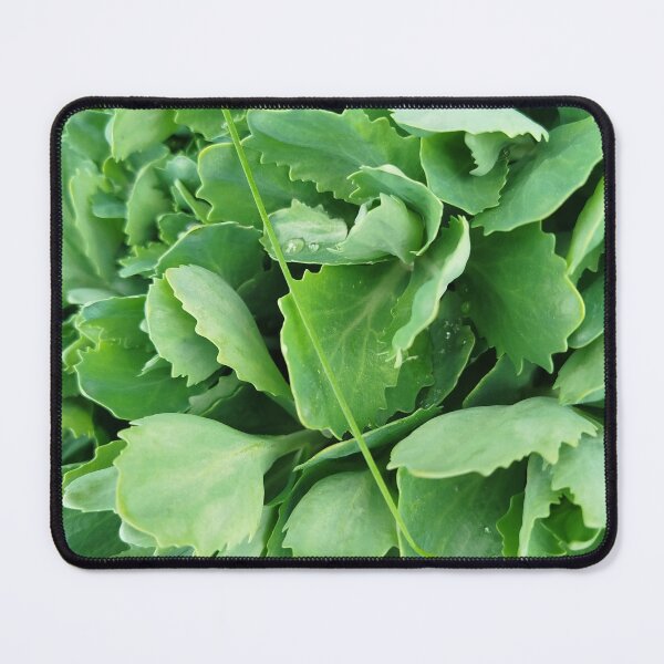 Item preview, Sedum acre style. designed and sold by Valgasnews011.