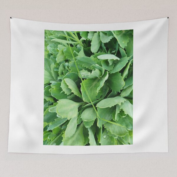 Item preview, Sedum acre style. designed and sold by Valgasnews011.