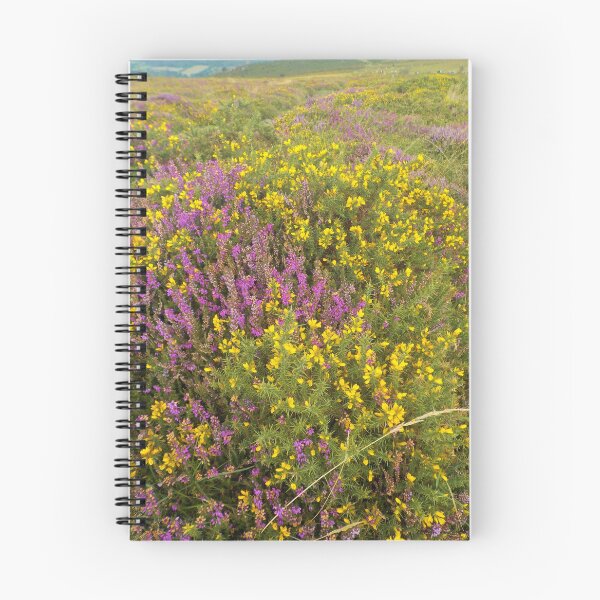 Item preview, Gorse And Heather Near Haytor Quarry, Dartmoor, Devon designed and sold by lezvee.