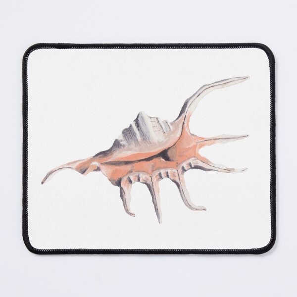 Item preview, Spiny Conch Shell – Natural Sea Life Art designed and sold by Secretos de Sirenas by Julie Helson.