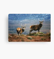Twa Stags Canvas Print