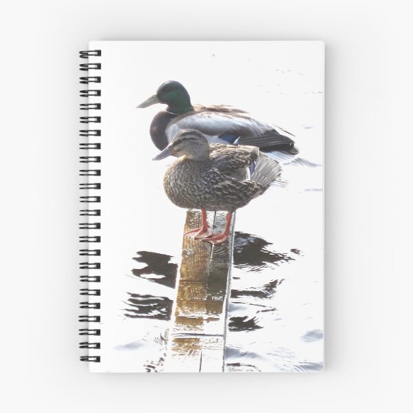 Item preview, Mallard Pair designed and sold by RVogler.