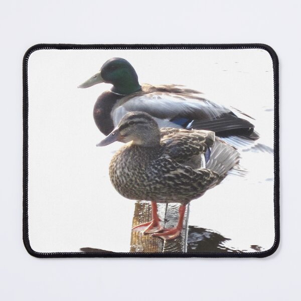 Item preview, Mallard Pair designed and sold by RVogler.