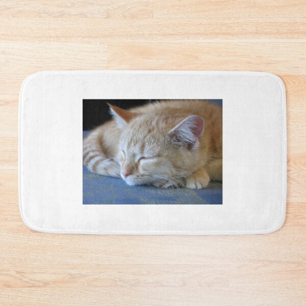 Item preview, cat nap designed and sold by ljdewet.