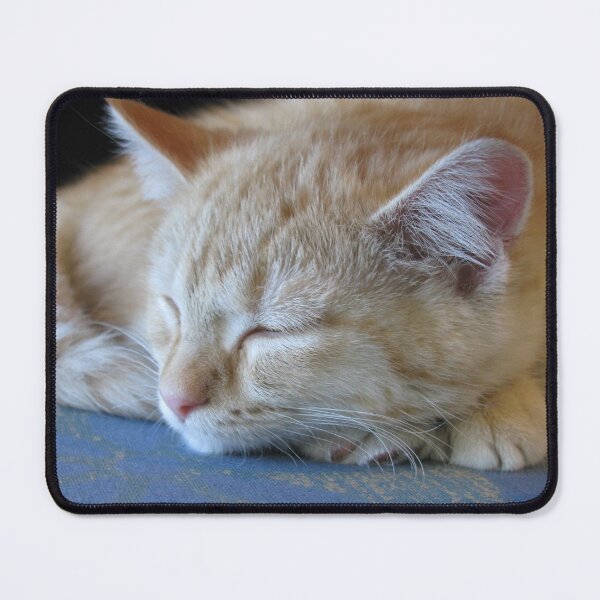 Item preview, cat nap designed and sold by ljdewet.