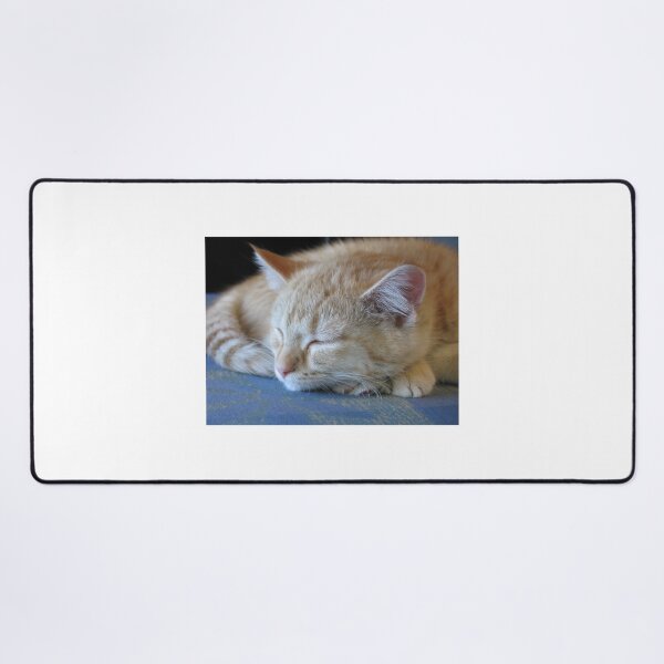 Item preview, cat nap designed and sold by ljdewet.