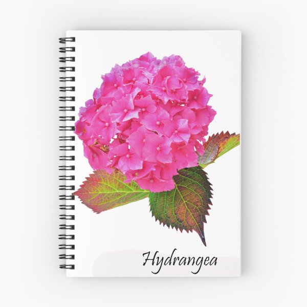 Item preview, Hydrangea designed and sold by Frank Irwin.