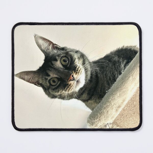 Item preview, Kitty designed and sold by Amanda1775.