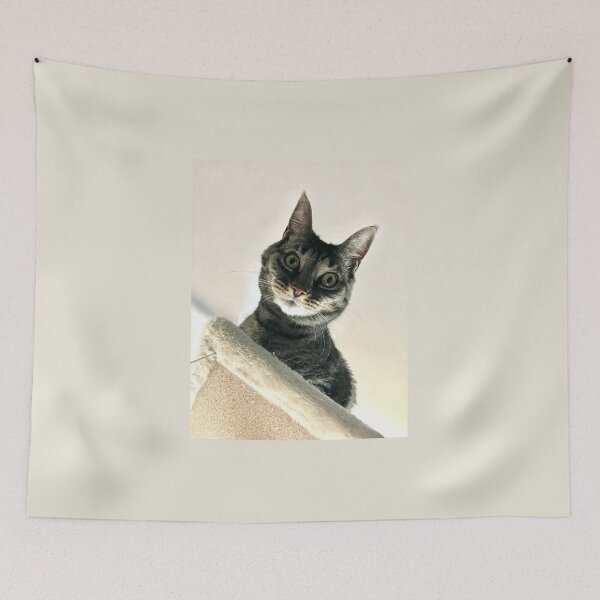 Item preview, Kitty  designed and sold by Amanda1775.
