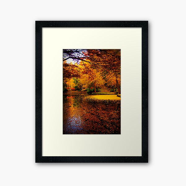 Item preview, Leaves fill the lake in autumn at Alfred Nicholas Gardens designed and sold by Elana Bailey.