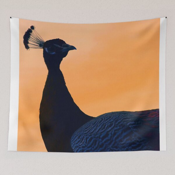 Item preview, Peacock in sunset designed and sold by jenstar77.