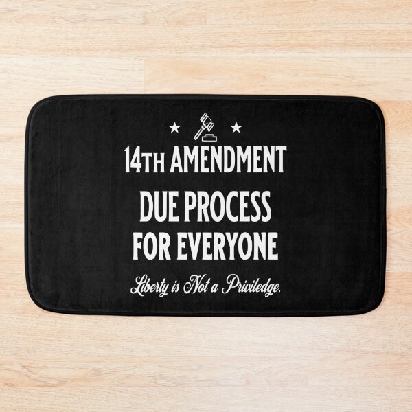 Item preview, 14th Amendment Due Process Civil Rights T-Shirt designed and sold by EthosWear.