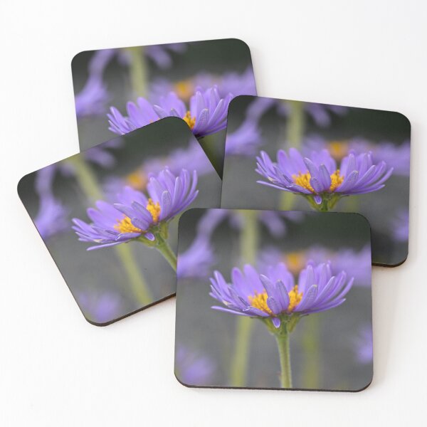 Item preview, Aster  designed and sold by Cblifeisgood.