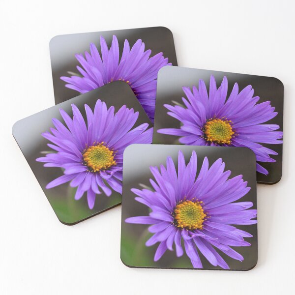 Item preview, Aster from above designed and sold by Cblifeisgood.