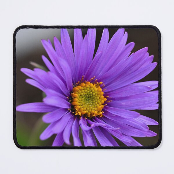 Item preview, Aster from above designed and sold by Cblifeisgood.