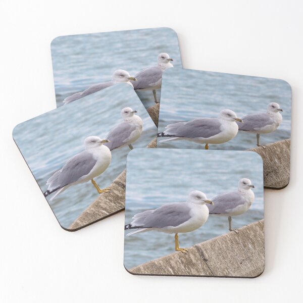 Item preview, Two Gulls Standing On a Wall Next To a Lake designed and sold by BackyardBirder.