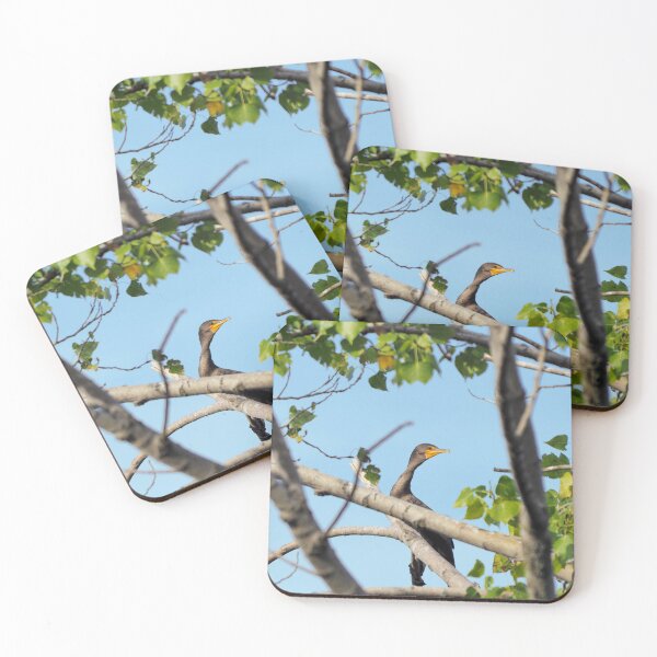Item preview, Curious Cormorant In a Tree designed and sold by BackyardBirder.