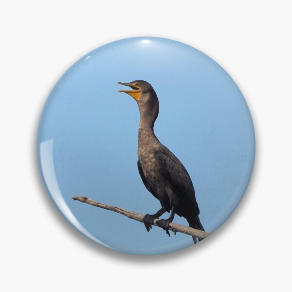 Item preview, Double-crested Cormorant On a Tree Branch designed and sold by BackyardBirder.