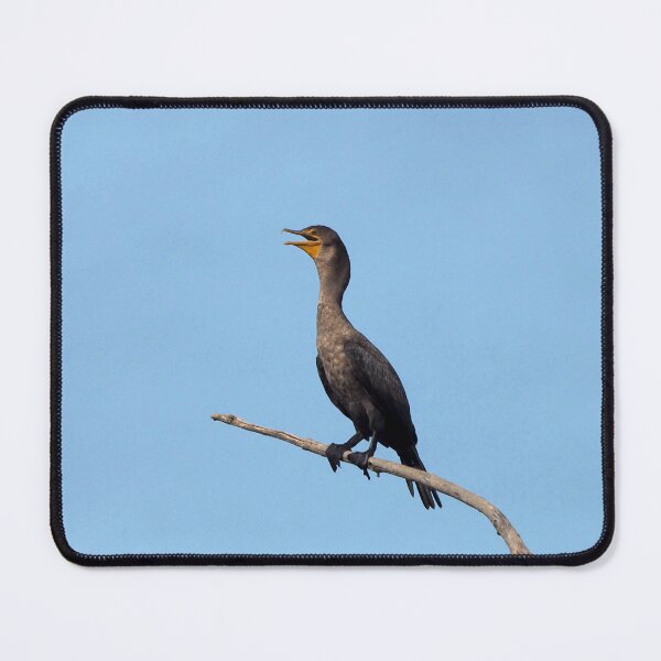 Item preview, Double-crested Cormorant On a Tree Branch designed and sold by BackyardBirder.