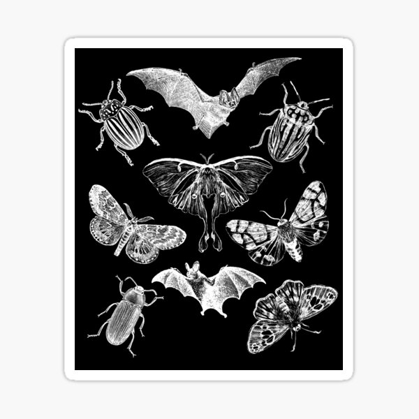 Item preview, Bats, Beetles, Moths, Night Time Pollinators Mandala Design designed and sold by EarthArtDesigns.