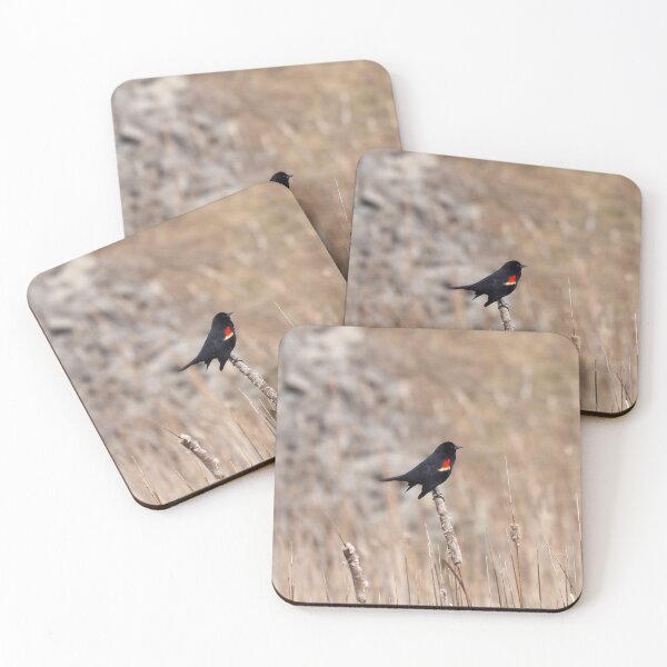 Item preview, Red-winged blackbird In a Field designed and sold by BackyardBirder.