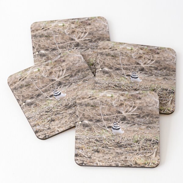 Item preview, Killdeer Wandering a Field designed and sold by BackyardBirder.