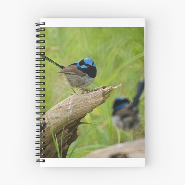 Item preview, Two Wrens designed and sold by D-GaP.