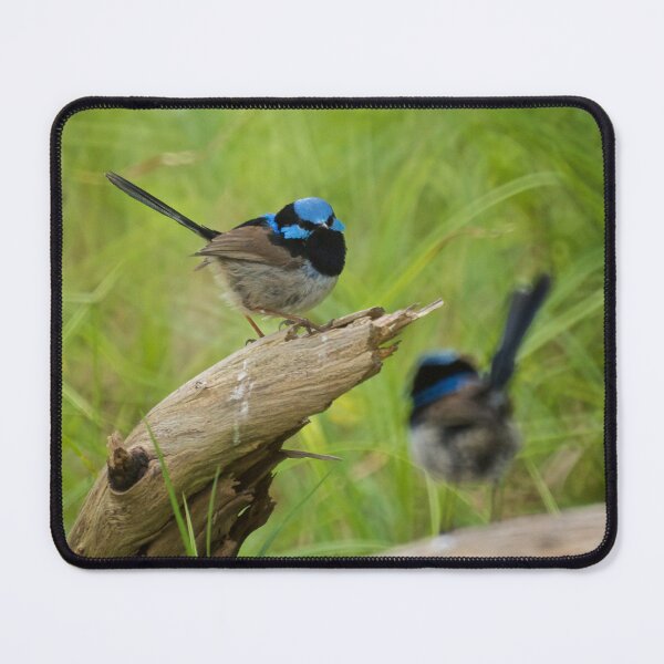 Item preview, Two Wrens designed and sold by D-GaP.