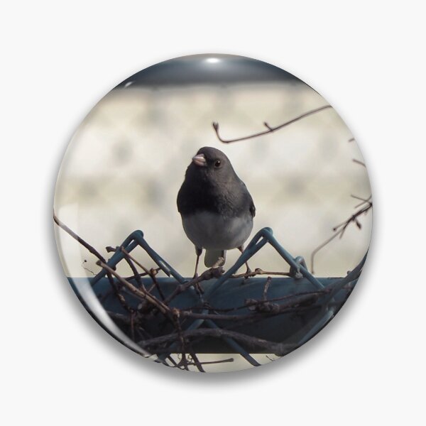 Item preview, Curious Dark-eyed Junco On a Fence designed and sold by BackyardBirder.