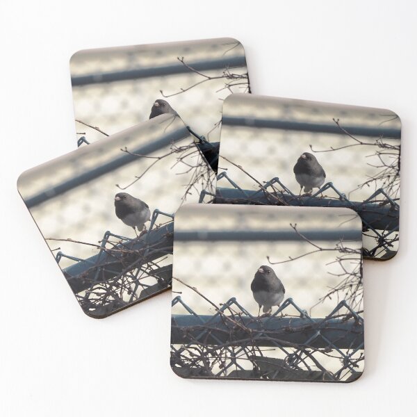 Item preview, Curious Dark-eyed Junco On a Fence designed and sold by BackyardBirder.
