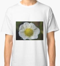 White Flower Close Up Classic T-Shirt