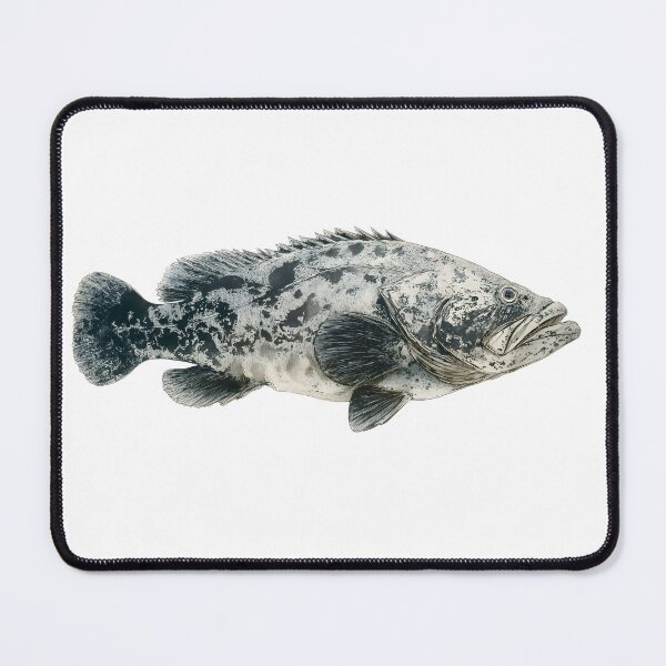 Item preview, Gyotaku Grouper, sharp elegant illustration like japan style, white background designed and sold by wonderisland.