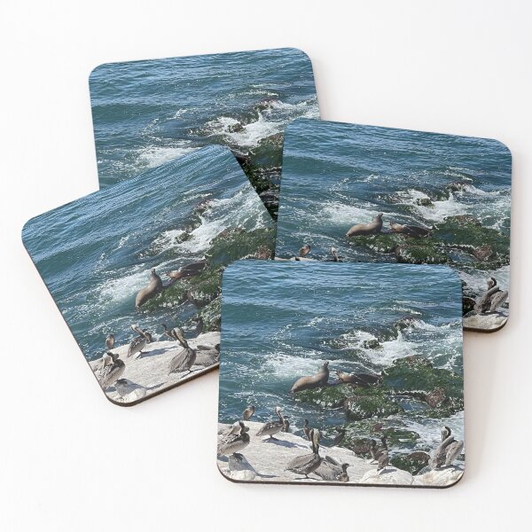 Item preview, Seals and Birds designed and sold by Alexander Krishchyunas.