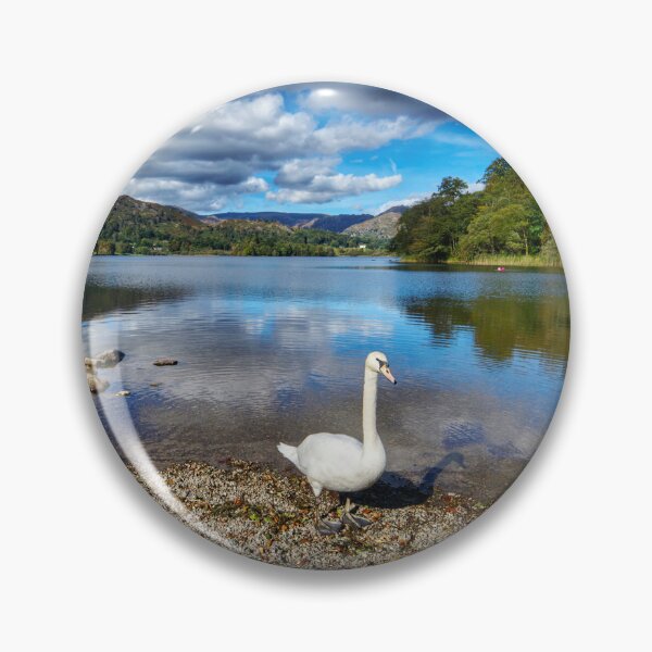 Item preview, Lake District Swan designed and sold by Alisonchambers2.