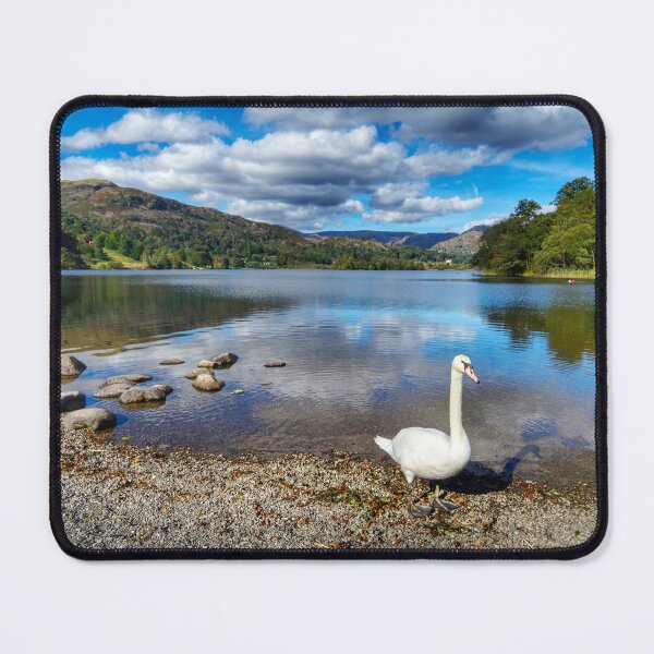 Item preview, Lake District Swan designed and sold by Alisonchambers2.