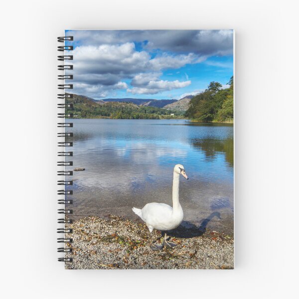 Item preview, Lake District Swan designed and sold by Alisonchambers2.