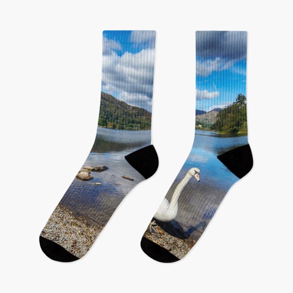 Item preview, Lake District Swan designed and sold by Alisonchambers2.