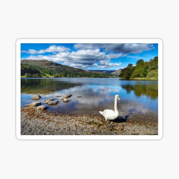 Item preview, Lake District Swan designed and sold by Alisonchambers2.