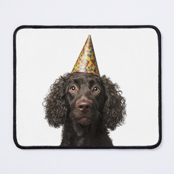 Item preview, Cute Curly Coated Retriever dog with Party Hat Birthday Celebration designed and sold by LazyOwlStore.