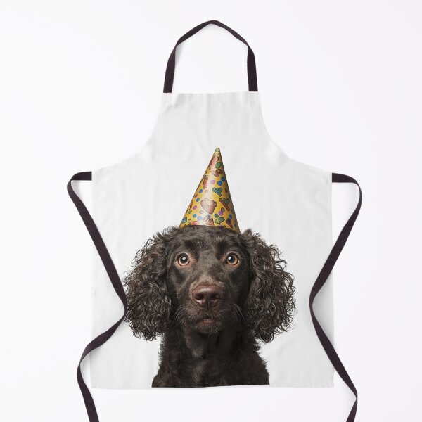 Item preview, Cute Curly Coated Retriever dog with Party Hat Birthday Celebration designed and sold by LazyOwlStore.
