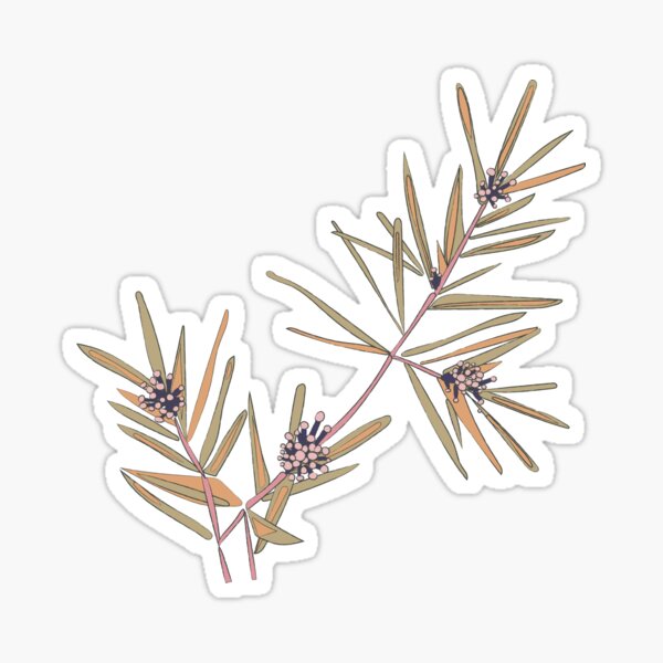 Item preview, Grevillea designed and sold by Slade Smith.