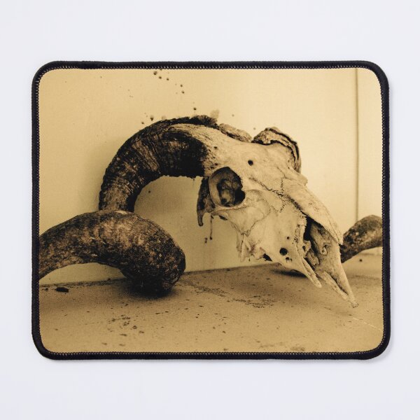 Item preview, Ram's Skull designed and sold by Giggle Monster Co..