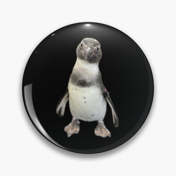 Item preview, Baby Penguin designed and sold by DragonicDux.