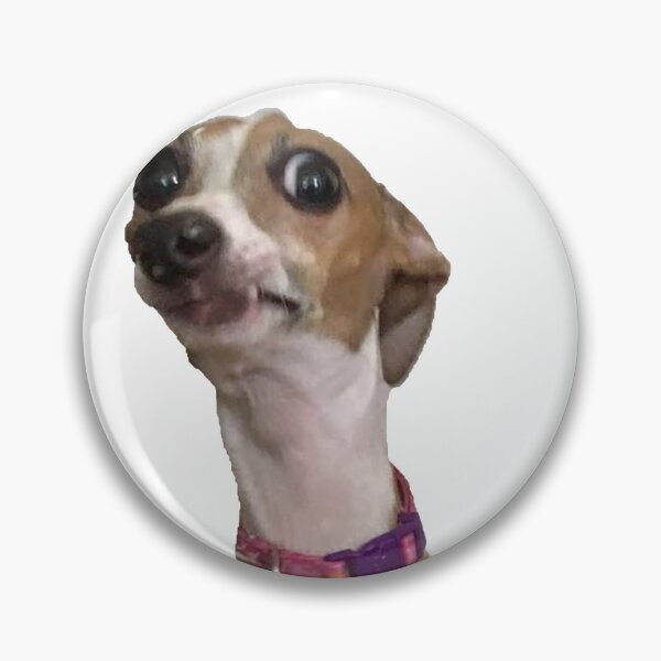 Item preview, Who… Me? | Anxious Dog Meme designed and sold by SpxrkyDesigns.